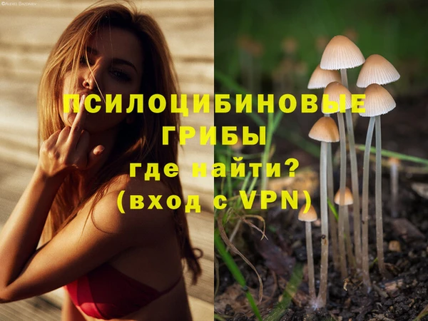 mdma Вязники