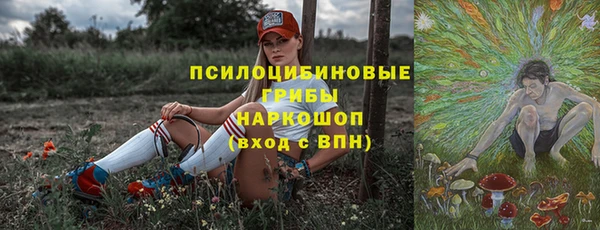 дживик Вяземский
