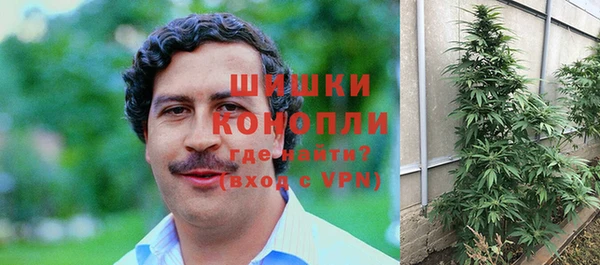 дживик Вяземский