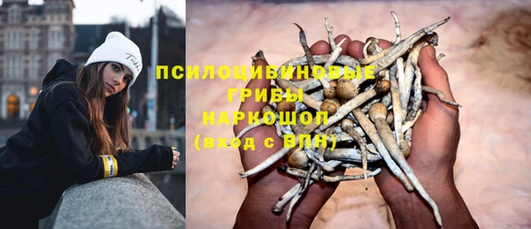 дживик Вяземский