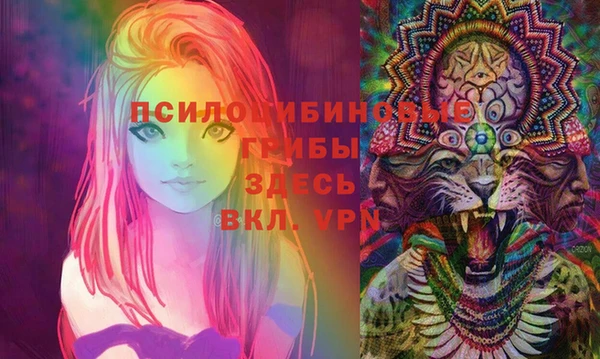 дживик Вяземский