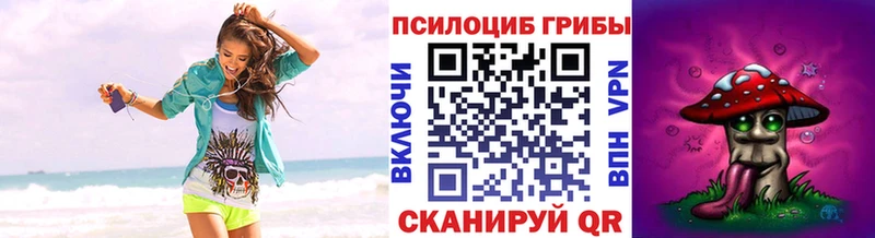 mega зеркало  Керчь  Псилоцибиновые грибы прущие грибы  где купить наркоту 